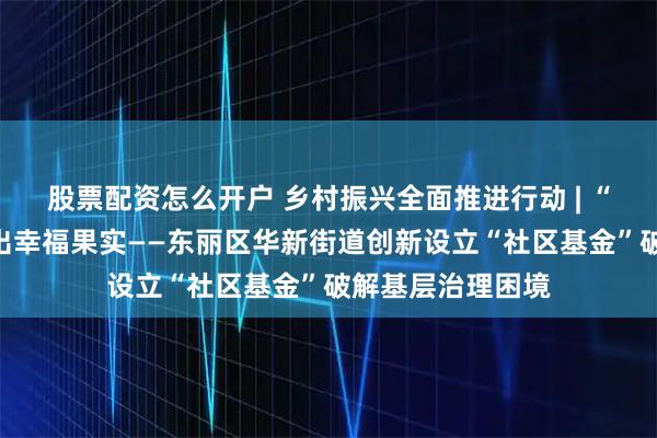 股票配资怎么开户 乡村振兴全面推进行动 | “善治”的种子结出幸福果实——东丽区华新街道创新设立“社区基金”破解基层治理困境